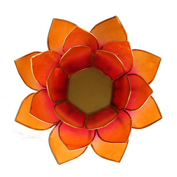 bougeoir en coquille de capiz fleur de lotus orange ceiba institut